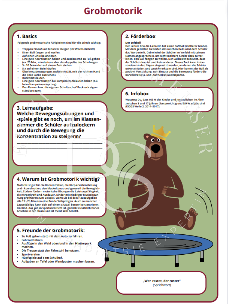 Förderposter Grobmotorik